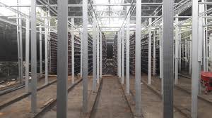 Jamur tiram adalah jamur pangan berasal dari kelompok basidiomycota dan termasuk kelas homobasidiomycetes. Jamur Jogja Posts Facebook