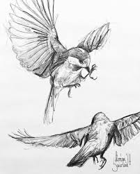 Sketch Bird In Flight Drawing Regram Naehrstff Birdy Sketch For Another Cover Artwork Bird Flying Nature Feather Wing Animal Cover Life Love Drawing Akvarelni Tehniki Malyunki