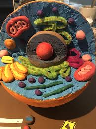 Pin On Cells Project