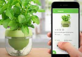开心农场走进厨房 智能花盆采用水培法 plant app herbs indoors herb pots