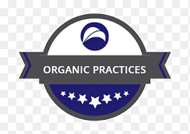 Introduced in 1992, the champions league is an annual continental club football competition. Frauen Bundesliga Ff Usv Jena Msv Duisburg 3 Liga Football Png Pngegg