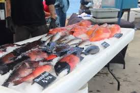 Fish market with tacos near san diego ca. A San Diego Pier To Plate Seafood Market Is A Lifeline For Fishermen Civil Eats