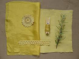 Rosmarinus Officinalis Natural Dye Fabric How To Dye Fabric Fabric Painting