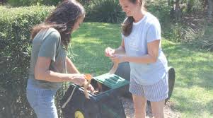 However, you can easily compost yard waste in your own backyard. How To Set Up Backyard Composting Naples Compost