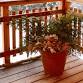 Winter Porch Pot Event event in Grimes, IA