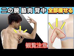 速攻腕痩せ 二の腕と脇の贅肉を確実に細くする方法 簡単激やせストレッチ stayhome and stretch youtube 腕痩せ 贅肉 二の腕エクササイズ