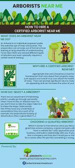 How To Hire Certified Arborist Near Me Arborist Tree Care Forestry