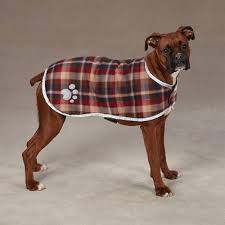 Intro this collection of 28 beautiful dog pictures are very expressive and most attractive. Zack Zoey Dog Clothes Dog Costumes Target
