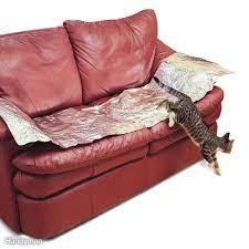 19 Cleaning Tips Every Dog Or Cat Owner Should Know Why Didn T I Think Of That Keep Dog Off Couch Dog Couch Cleaning Hacks