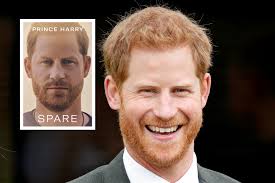 Prince Harry's 'Spare' Audiobook Narration Roasted: 'Embarrassed For Him'