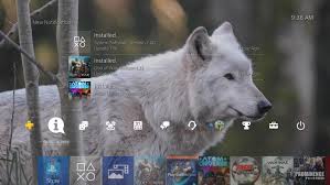 Copy it to a usb stick create a folder called images within the main directory of your usb stick and add as many images as you like. How To Change Your Ps4 Background To A Custom Image
