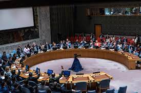 Five nations elected to UN Security Council | Reuters