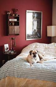 25 Ideas For Modern Interior Design And Decorating With Marsala Red Wine Color Marsala Decor Bedroom Red Home