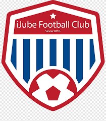 Why don't you let us know. T Shirt Copa Indoor Soccer Persija Jakarta Discounts And Allowances T Shirt Emblem Label Png Pngegg