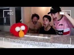 Elmo Drogado Youtube In 2021 Elmo And Cookie Monster Elmo Stupid Funny