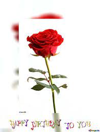 We did not find results for: Kostenloses Bild Herunterladen Happy Birthday Card Rose Flower Auf Cc By Lizenz Torange Biz Fx 80076