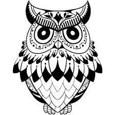 Owls Png Images Vector And Psd Files Free Download On Pngtree Owl Tattoo Owls Drawing Owl Graphic