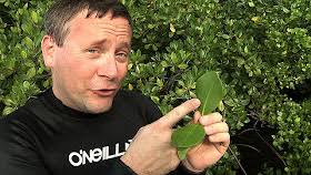 Jonathan Bird's Blue World: 2010