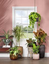Give your plants something gorgeous to grow in. 20 Best Indoor Planters Stylish Indoor Plant Pots