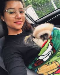 Missing moments like this with my little hairball!💛🥲🥹  #whitehandedlargibbon #furevermybaby