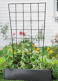 These metal trellises in ornate leaf design will look both decorate and beautiful on your garden walls, this wall trellis is manufactured from coated steel, this plant trellis add an extra touch of elegance. Metal Garden Trellis Keep Vine Plants Flowers Off The Ground