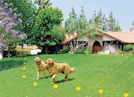 Electric dog fence w/500 ft of industrial grade solid copper core wire. Invisible Fencing For Dogs Http Www Thepetproductguru Com Wp Content Uploads 2012 06 Invisible Fences Jpg