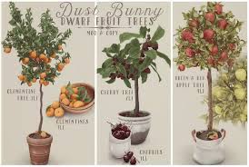 We did not find results for: Second Life Marketplace Dust Bunny Dwarf Fruit Trees Full Set