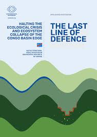 Image result for Eggelingia ligulifolia