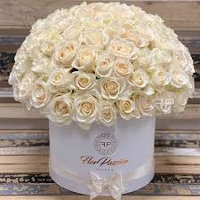 Your white roses stock images are ready. White Roses Dome Million Roses Florpassion Milano
