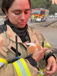 Jaime Matute Mendoza (@JaimeMatute10)