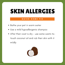 Skin Relief And Coat Health Kit Dog Skin Allergies Coconut Oil For Dogs Dog Allergies Remedies