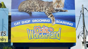 This shop has no products yet. Cats Wonderland Puncak Alam Pet Store In Puncak Bestari