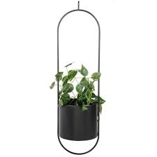 Wir Pflanzen Die Deko Maisons Du Monde Tanaman