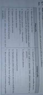 We did not find results for: Give 10 Differences Between Plant Cell And Animal Brainly In