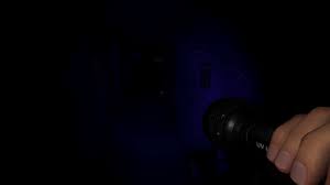Phasmophobia'S Footprints And Fingerprints, Does It | Gamewatcher
