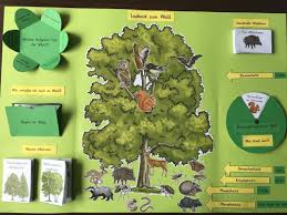 Unser Erstes Eigenes Lapbook Zum Thema Wald Komplett Mit Dem Worksheet Crafter Gemacht Im Blogartikel Gibts Das Wald Grundschule Kinder Laptop Tiere