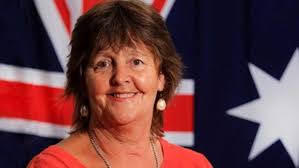 Tweed Shire Council candidate profiles: Local Government elections 2024