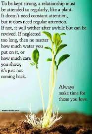 Keeping Love Alive Strong Relationship Quotes Strong Quotes Relationship