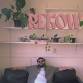 Rekow
