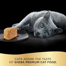 Buy products such as sheba wet cat food pate variety pack, signature seafood, delicate salmon and tender whitefish & tuna entrees, 2.6 oz. Pin On Cats Ideas
