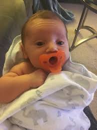 Lifecycles for the week of Feb. 24, 2017