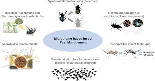 Results from workplace drug testing. Frontiers Microbiome Innovation In Agriculture Development Of Microbial Based Tools For Insect Pest Management Sustainable Food Systems