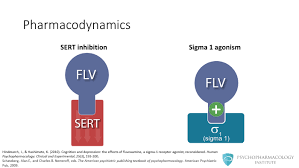 Image result for Fluvoxamine