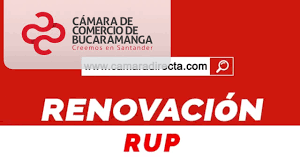 ¿qué es la cámara de comercio de bucaramanga? Renueve El Registro Rup En Linea Camara De Comercio De Bucaramanga Youtube