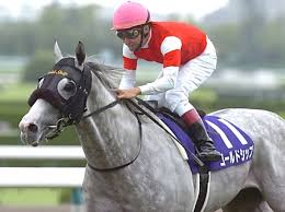 2015年6月29日 12:30 スポニチ 28日の「第56回宝塚記念」で、気性の悪さを出し、スタートから約10馬身遅れた1番人気のゴールドシップ。 ブービー15着に沈み、ゴールド絡みの馬券約117億余円が一瞬にして泡と消えました。 ã‚´ãƒ¼ãƒ«ãƒ‰ã‚·ãƒƒãƒ—ã¯8æž 15ç•ªã‹ã‚‰ã®ã‚¹ã‚¿ãƒ¼ãƒˆ å®å¡šè¨˜å¿µæž é † ç«¶é¦¬ãƒ‹ãƒ¥ãƒ¼ã‚¹ Netkeiba Com