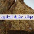 فوائد زيت الاملج للشعر للتعرف علي كل الفوائد اضغط هنا فنجان قهوة