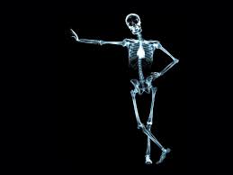Esqueleto Esqueleto Arte Dental Radiografia