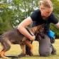 Puppy Hour! Ask questions to Lisa (Nimbus Dogs... event in Epsom
