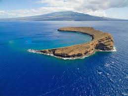 Best Kihei Activities To Do