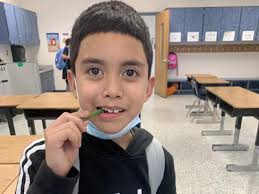 Fresh Fruits and Veggies